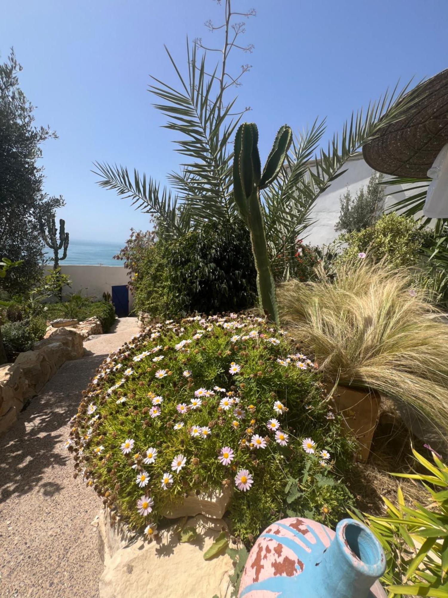 Villa Jardin De L'Ocean Aourir Exterior foto